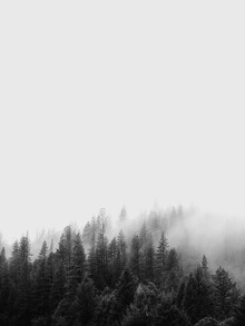 Vivid Atelier, Mountains 2