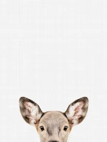 Photo art by Vivid Atelier: gentle doe in a serene forest setting