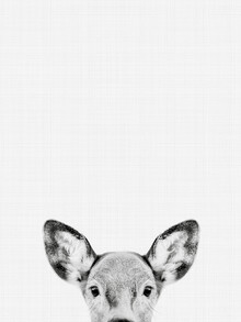 Vivid Atelier, Doe (Black and White)