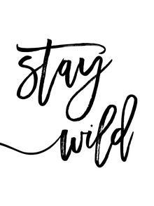Vivid Atelier, Stay Wild
