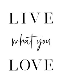 Vivid Atelier, Live What You Love