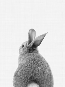 Vivid Atelier, Rabbit Tail (Black and White)