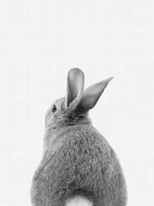 Schwarz-Weiß Fotokunst: Hase in sanften Tönen, der Ruhe und Verspieltheit ausstrahlt.