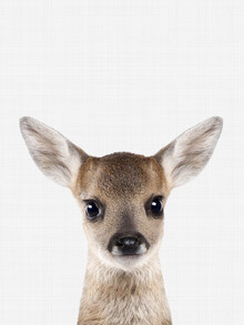 Vivid Atelier, Fawn