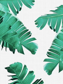 Vivid Atelier, Tropical Leaves