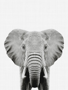 Vivid Atelier, Elephant (Black and White)