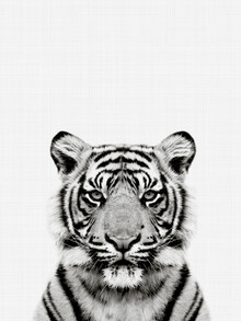 Vivid Atelier, Tiger (Black and White)
