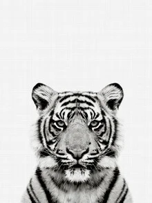 Photo art by Vivid Atelier: black and white portrait of a tiger