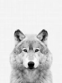 Wolf (Black and White) - Fineart photography by Vivid Atelier