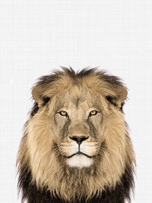 Vivid Atelier, Lion