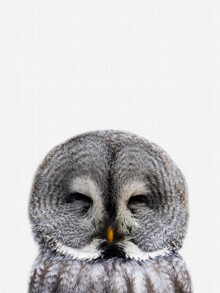 Vivid Atelier, Owl