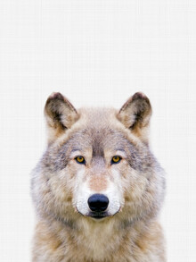 Vivid Atelier, Wolf