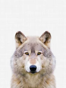Wunderschönes Wolfsmotiv in ruhigen Farben, das die Tierwelt einfängt.