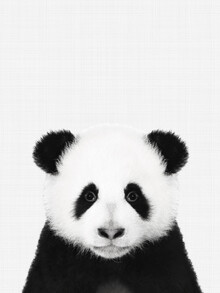 Vivid Atelier, Panda (Black and White)
