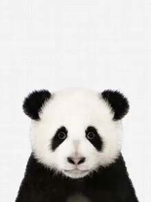 Photo art by Vivid Atelier: adorable panda in a relaxed pose