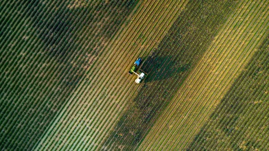 Photo art by Rémi Peschet: aerial view of lavender fields in Provence, France