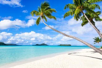 Jan Becke, Palmenstrand auf Bora Bora in Französisch Polynesien - Französisch-Polynesien, Australien und Ozeanien)