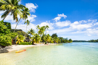 Jan Becke, Holiday on a tropical island in the South Seas