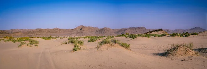 Vastness of the Hoanib riverbed in Kaokoveld, Namibia, in gentle earth tones.