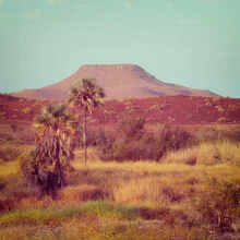 Photo art by Dennis Wehrmann: serene oasis in the Namibian landscape
