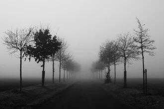 Photo art by Manuela Deigert: a calm street in a misty atmosphere