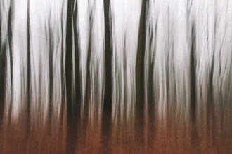 Abstract forest photo with blurred trees in soft colors.