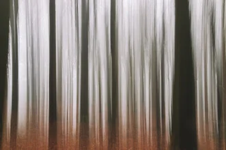 Abstract forest photo with blurred trees in soft green hues.