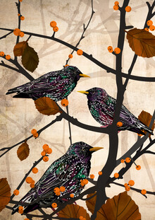 Katherine Blower, Starlings