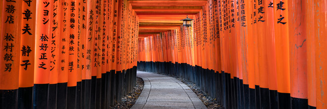 Jan Becke, Fushimi Inari Taisha in Kyoto (Japan, Asien)