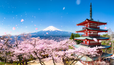 Jan Becke, Chureito Pagode und Berg Fuji im Frühling - Japan, Asien)