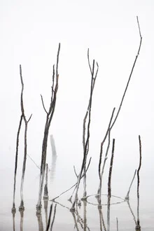 Fotokunst von Marius Kayser: Äste spiegeln sich im ruhigen Wasser