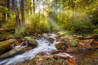Photo art by Dave Derbis: autumn waterfall in Ilsetal with sun rays