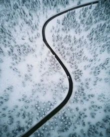 Fotokunst von André Alexander: Luftaufnahme einer sanften Kurve im Winterwald