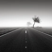 Photo art by Thomas Wegner: fog over an empty road with a tree