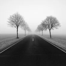 Fotografie von Thomas Wegner: Nebel über einer einsamen Straße zwischen Bäumen