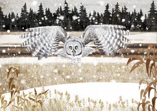 Photo art by Katherine Blower: grey owl in a winter landscape