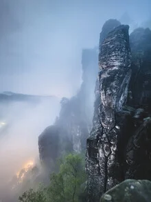 Night view of Bastei in the Saxon Switzerland with fog and trees.