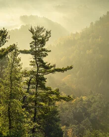 Bastei view in fog: serene autumn landscape in the Elbe Sandstone Mountains