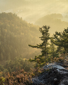 Ronny Behnert, Basteiaussicht im Nebel II Elbsandsteingebirge