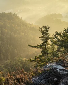Fotokunst von Ronny Behnert: Nebel über dem Elbsandsteingebirge im Herbst.