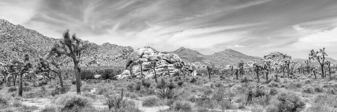 Photo art by Melanie Viola: panoramic view of Joshua Tree National Park