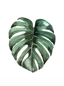 Christina Wolff, Mantika Botanical Monstera Leaf