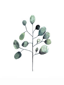 Christina Wolff, Mantika Botaincal Eucalyptus
