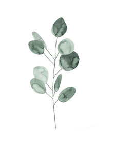 Christina Wolff, Mantika Botanical Eucalyptus