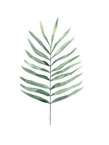 Christina Wolff, Montika Botanical Fern (Germany, Europe)