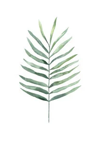 Illustration by Christina Wolff: tropical fern with delicate leaves on a light background