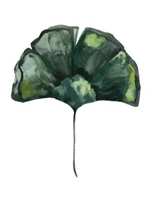 Illustration eines Ginkgo Blattes in sanften Grüntönen von Christina Wolff