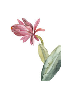 Christina Wolff, Mantika Botanical Kaktusblume pink