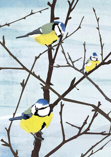 Katherine Blower, Blue tits