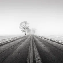 Photo art by Thomas Wegner: winter road surrounded by fog and trees